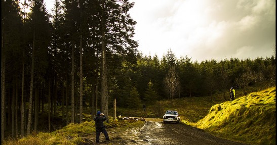 Pirelli Rally